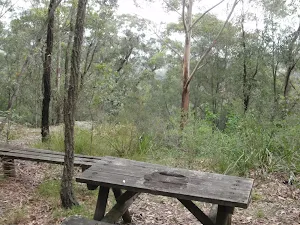 Mouat trail picnic table