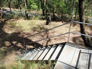 Casuarina link trail stairs