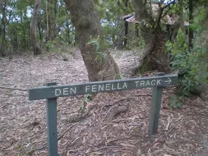 This track is well signposted