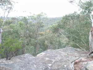 View from Lawsons Lookout