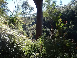 Path down into valley