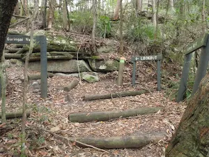 Int of Toomey and Guringai Walks