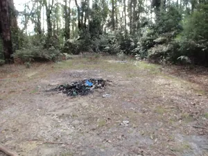 Fire scar south of Mt Warrawolong