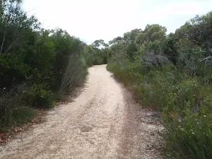 Elvina Track near West Head Rd