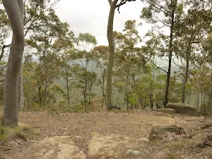 View through trees on the Green track walk near Mt Sugarloaf