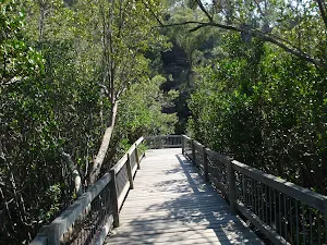 Boardwalk