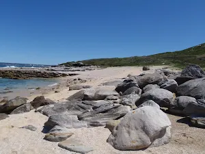 small shelly beach