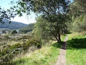 The grassy edges of the Pipeline Path
