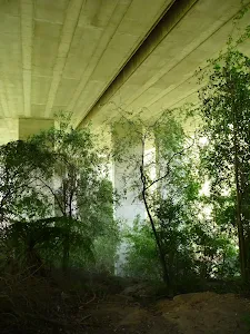 Walking under De Burghs Bridge