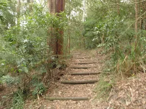 Lower end of Graves Walk