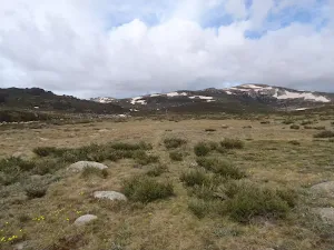 Track east of Foremans hut ruins