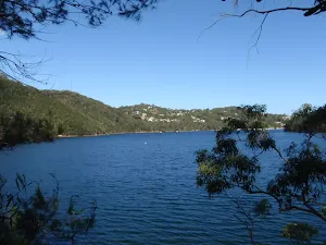 Middle Harbour