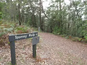 Top of Tommey Walk