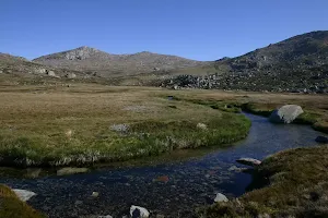 Wilkinsons Creek