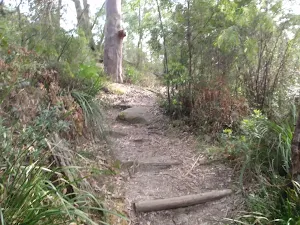 Steps in the Berowra Creek valley