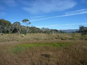 Lakes Creek saddle