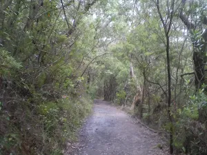 Shortcut Track