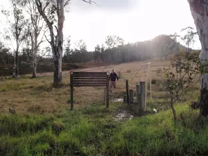 the congewai east track head