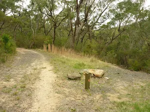 Int of GNW and Stringybark Ridge trail