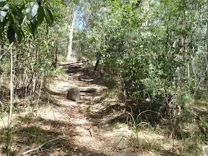 Sandringham Track