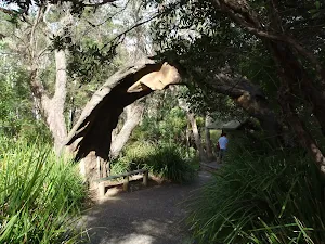 Leura Cascades Picnic Area