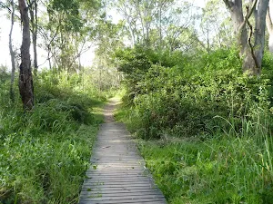 Timber boardwalk near Green Point on Lake Macquarie