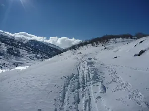 Walking along the snow covered trail