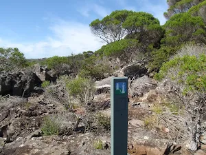 Light to Light track post near Hegartys Bay