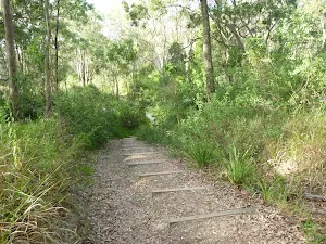 Well maintained tracks in Green Point Foreshore Reserve