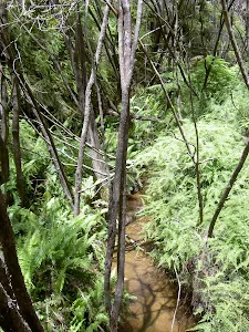Pope's Glen Track