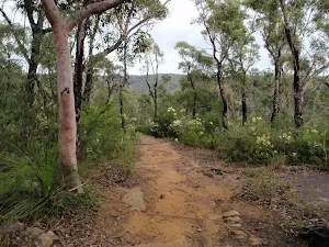 Near top of Jack Evans track