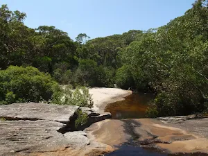 Deer Pool