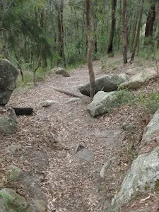 Track near the Mouat trail picnic table