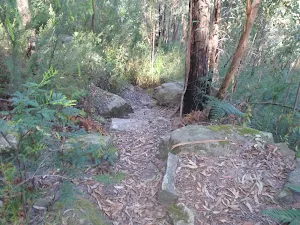 Track down from Martin's Lookout