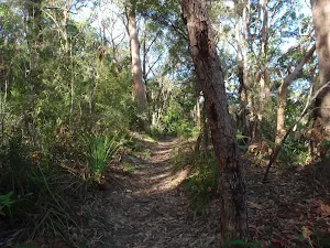 Magazine Track