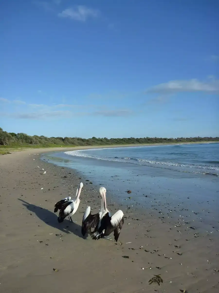 Point Plomer camping ground