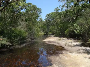 Deer Pool