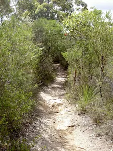 America Bay Track