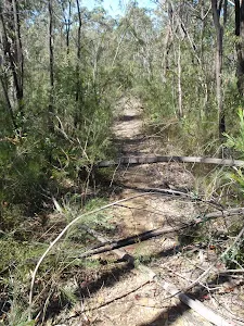 St Helena ridge track
