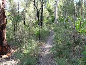 Walking near Mt Olive