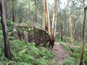 Ironbark Rd to Glenworth Valley