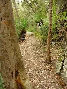 On the eastern side of Berowra Creek