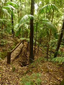 Timber post and railing close to Muirs Lookout near Muirs Lookout