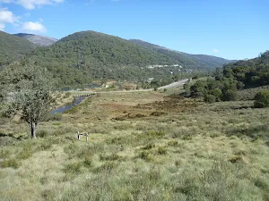 Bridle Trail Loop