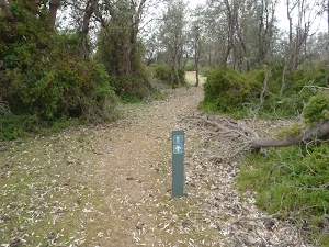 Arrow marker through the bush on the headland