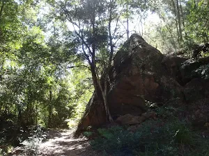Shepherds Gully