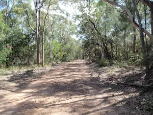 Shade spot on Bobbin Head Track