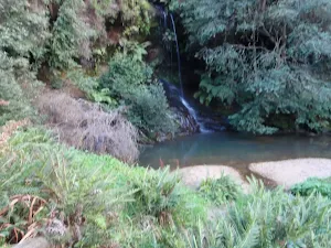 Waterfall next to Lyrebird Dell
