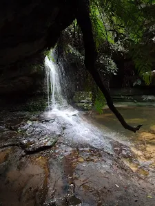 Lyrebird Dell and Pool of Siloam Circuit