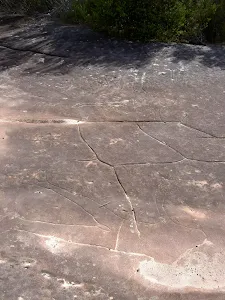 The Basin Track Aboriginal Engravings